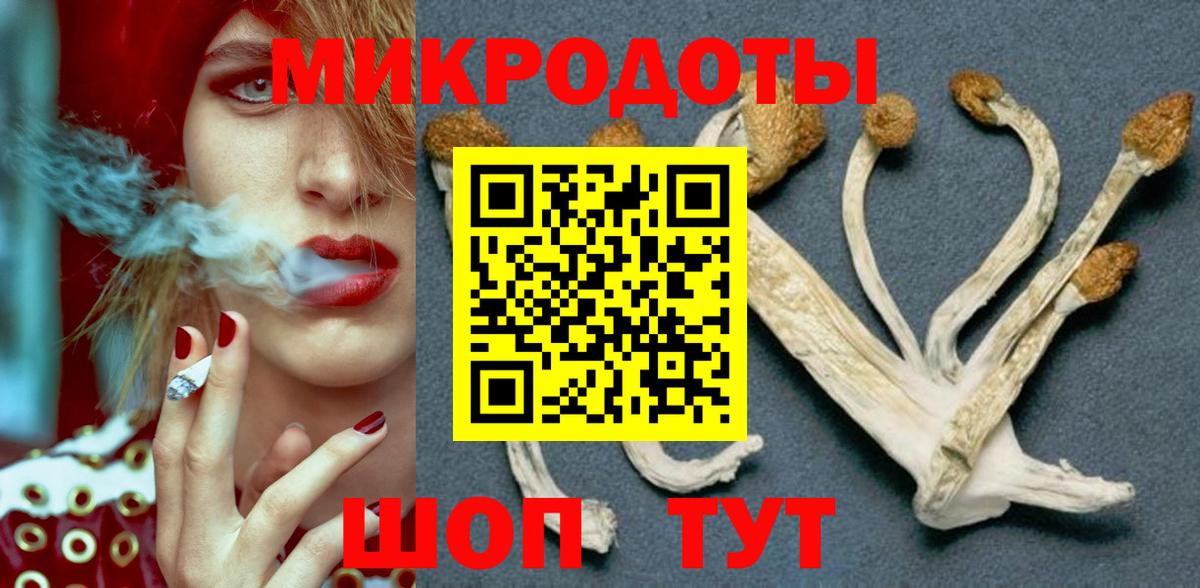 Партизанск  наркота  Псилоцибиновые грибы Psilocybine cubensis  Вход с VPN  Галлюциногенные грибы Magic Shrooms 